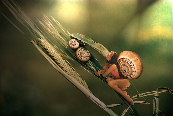 Snails