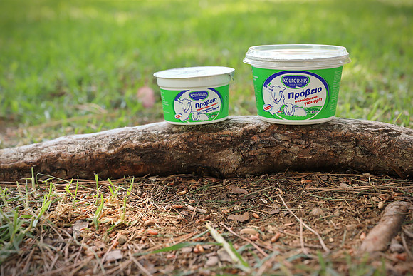 Kouroushis, Dairy products, 2019